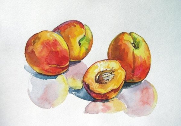 Этюд персики акварель
