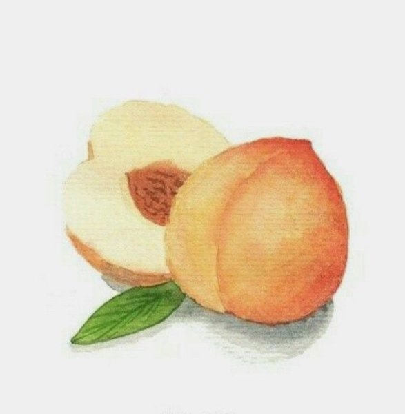 Фрукты акварелью скетчинг