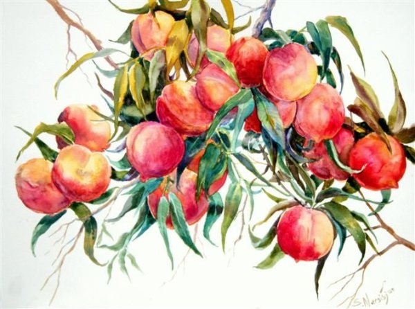 Нектарин акварелью