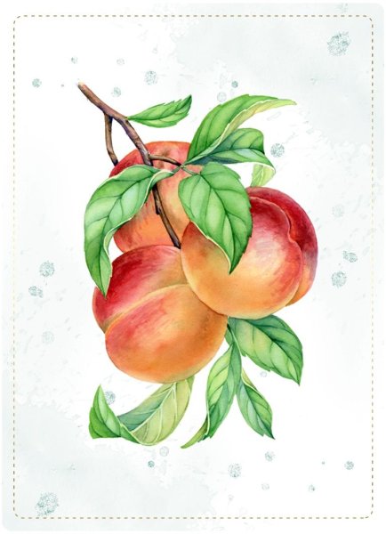 Фон акварель персик белый