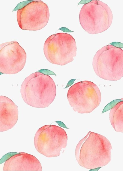 Персики скетч акварель
