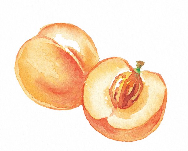 Персики на ветке