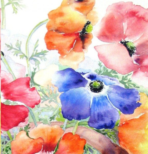 Садовые цветы акварель