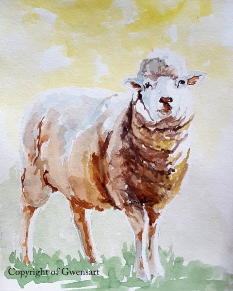 Овечка акварелью