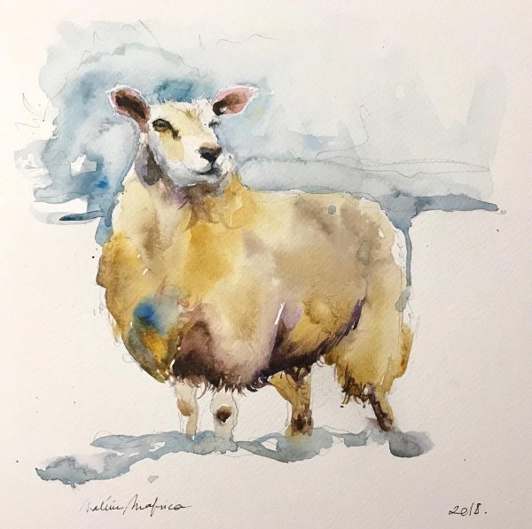 Этюды животных акварелью