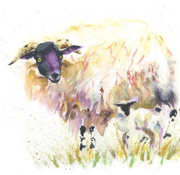 Барашек акварель