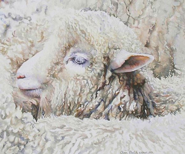 Барашек акварель