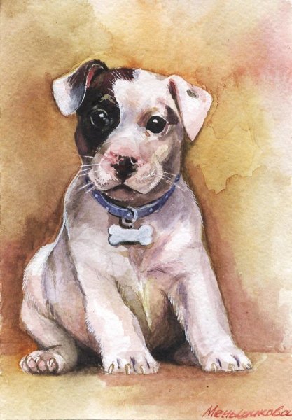 Бигль картина