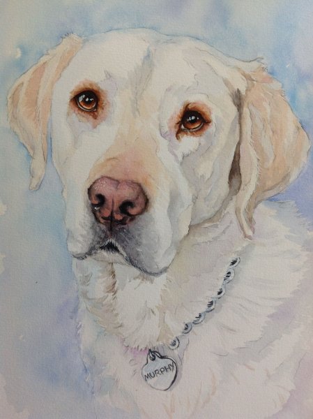 Собака акварелью