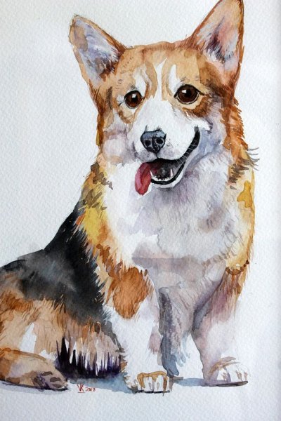 Лабрадор палевый портрет