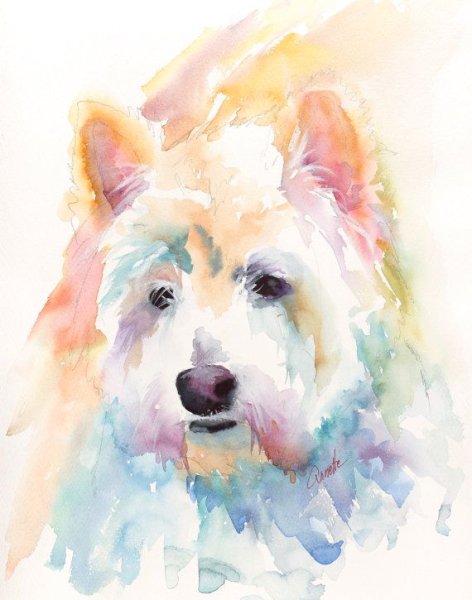 Джек Рассел акварель
