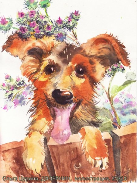 Скетчинг Йоркширский терьер