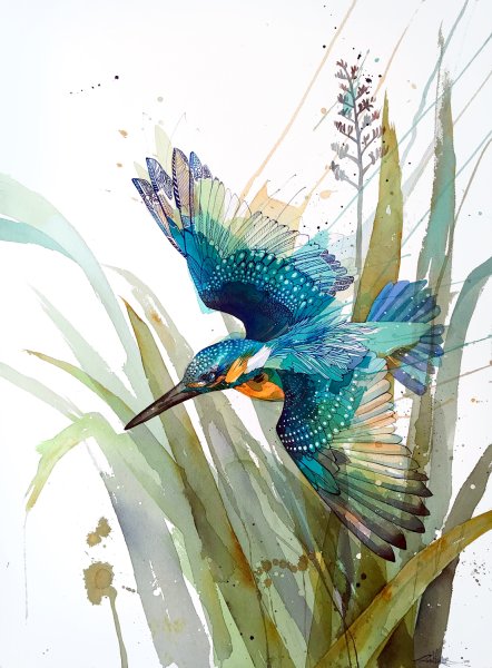 Арчибальд Торберн картины Зимородок