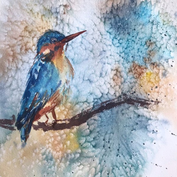 Картины акварелью птицы