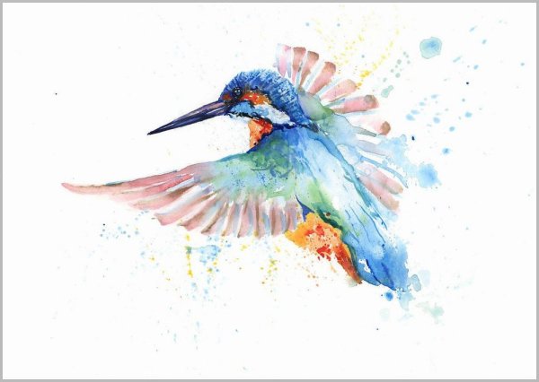 Красивые птицы акварелью