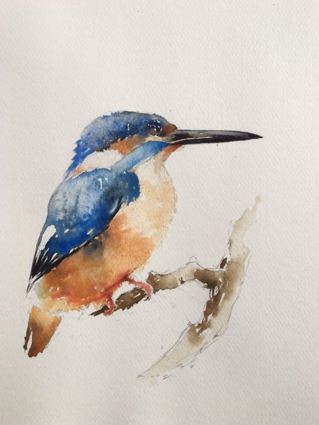 Зимородок Геншин