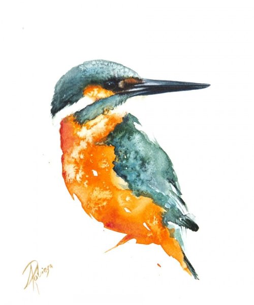 Птица Зимородок акварель