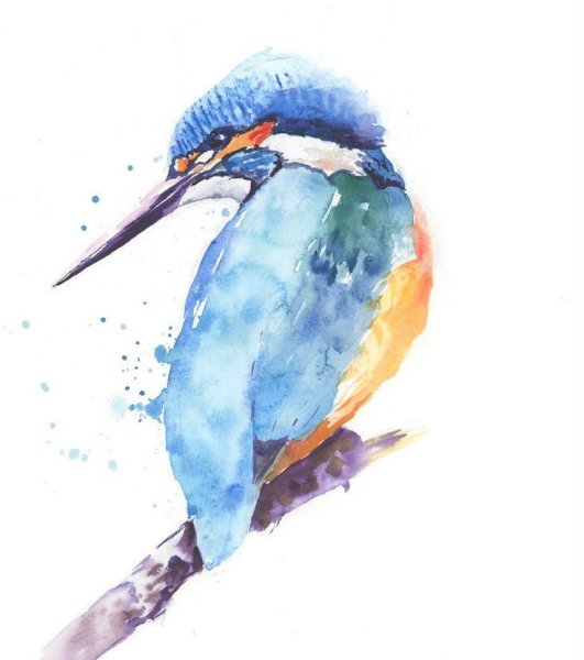 Зимородок акварелью