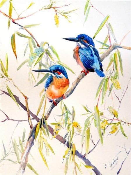 Птица Зимородок акварель