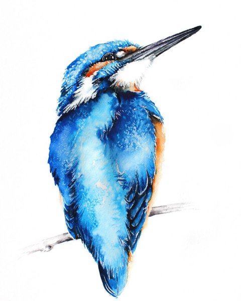 Птица счастья акварель