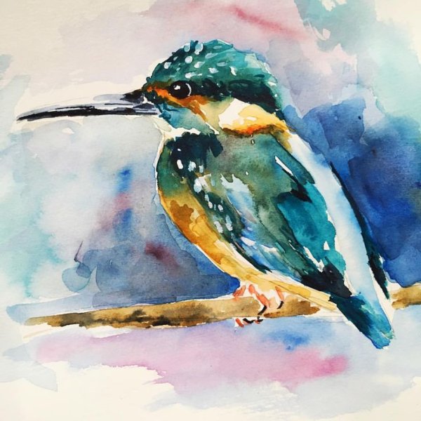 Зимородок картина акварель