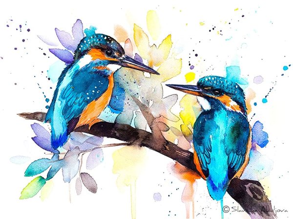 Зимородок акварелью