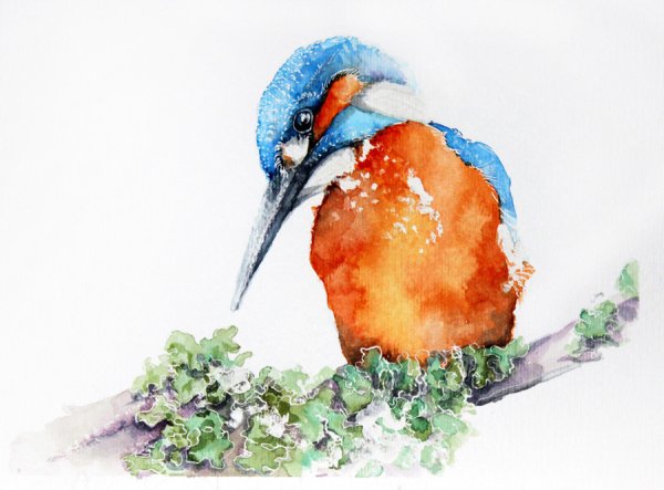 Каролина Кижак