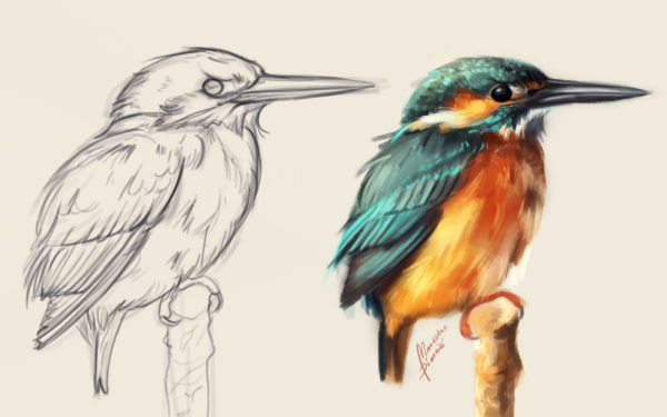 Зимородок акварель художник