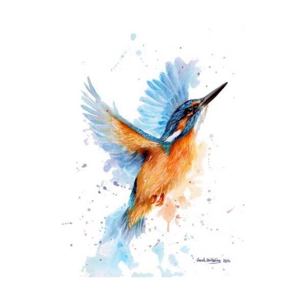 Зимородок акварелью