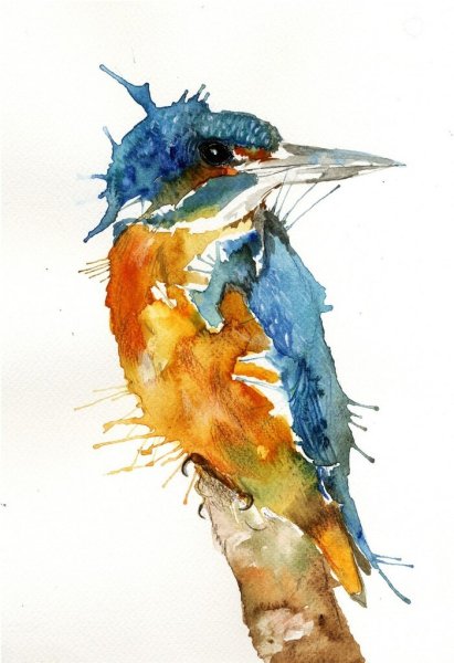 Птица вода акварель