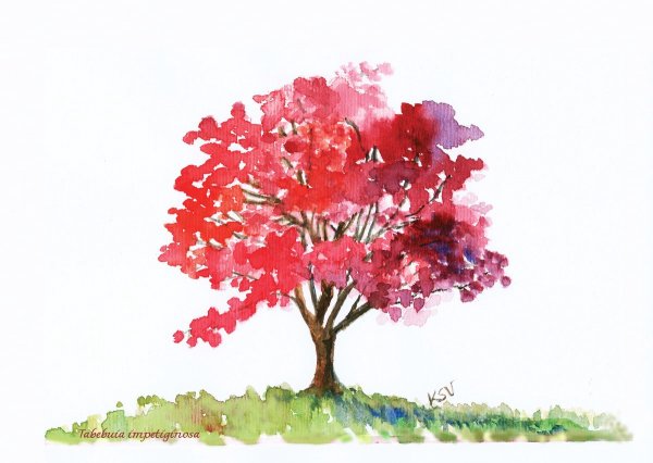 Листок осины