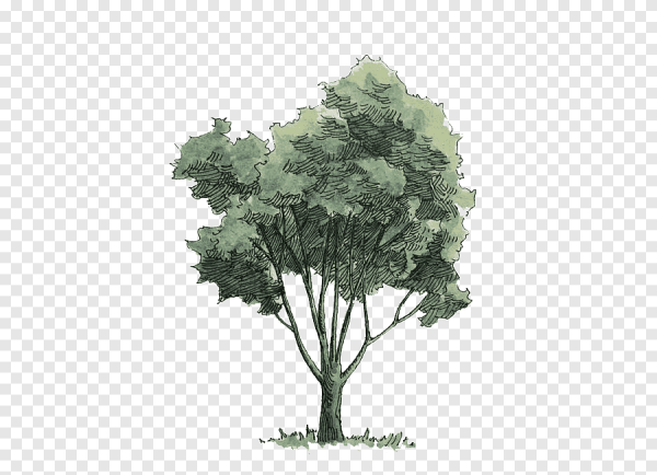 Рисование с детьми осеннее дерево