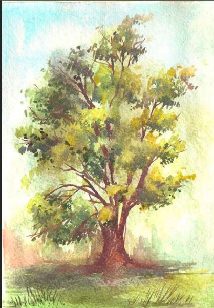 Акварельные деревья