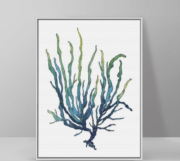 Водоросли нарисованные акварелью