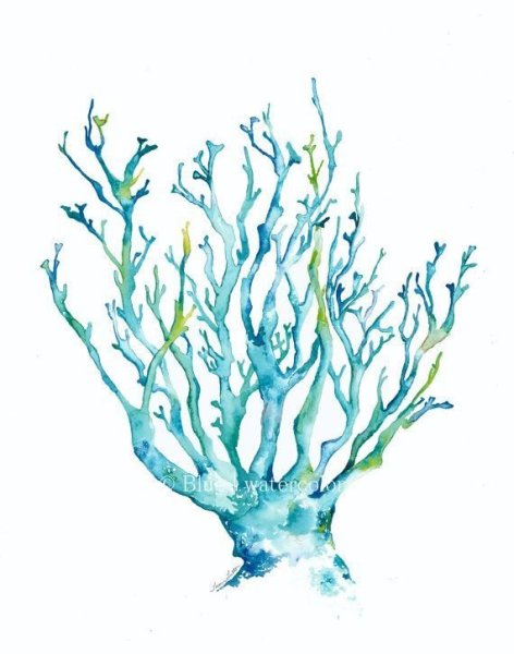 Кораллы и водоросли акварель