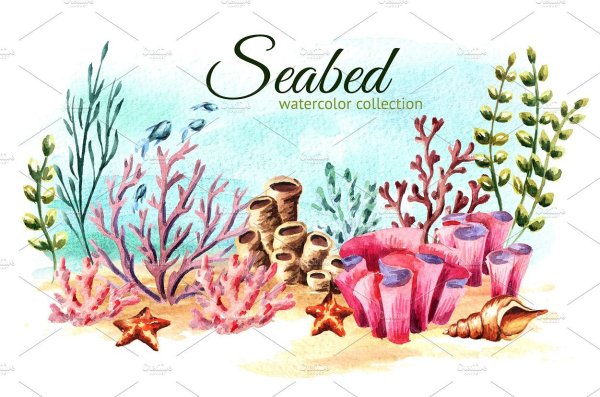 Водоросли арт