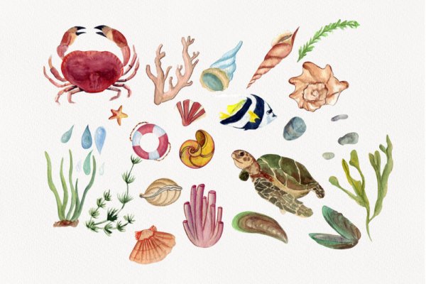 Морские водоросли рисунок акварелью