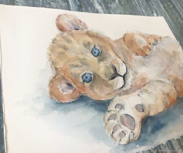 Львенок акварель