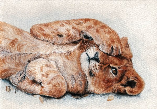 Милые животные акварелью