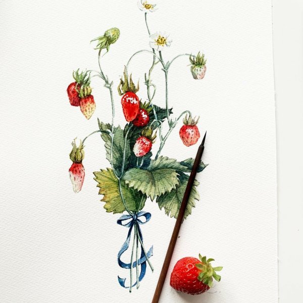 Земляника Ботаническая акварель