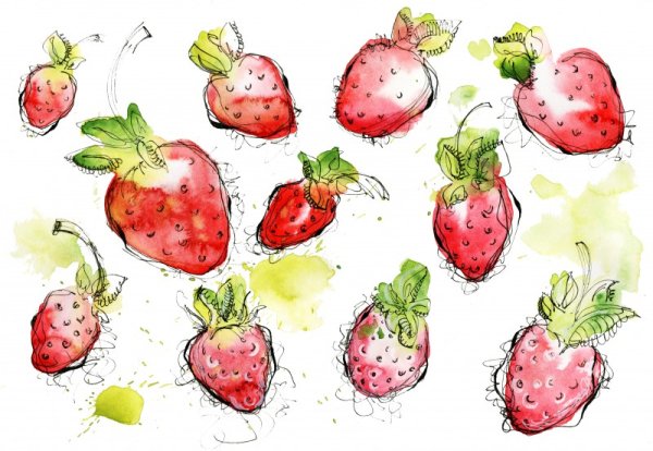 Клубника рисунок акварелью