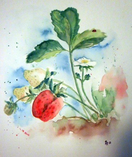 Клубника акварелью