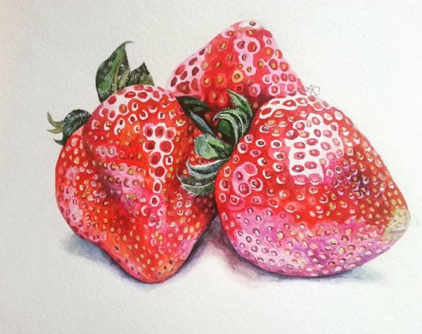 Земляника акварель