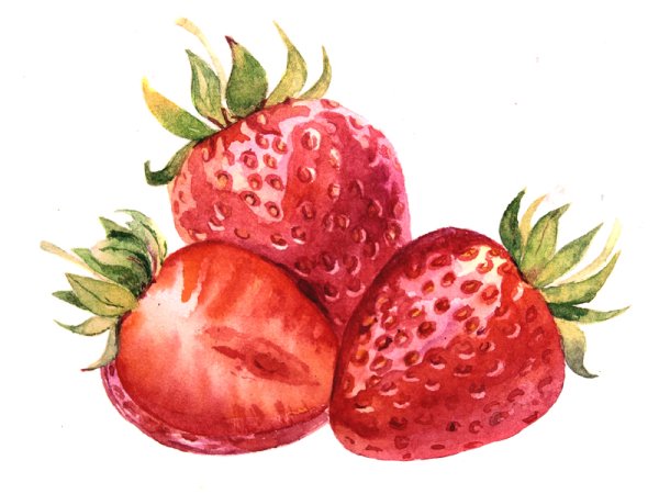 Клубника акварелью