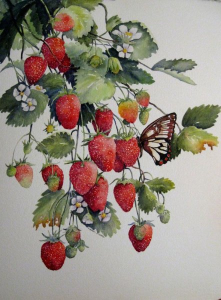 Клубника акварелью