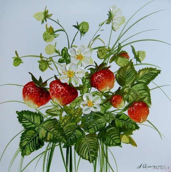 Клубника в иллюстраторе