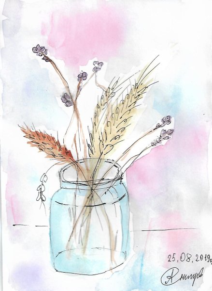 Сухоцветы акварель