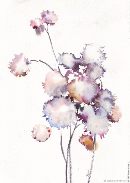 Сухоцветы акварель