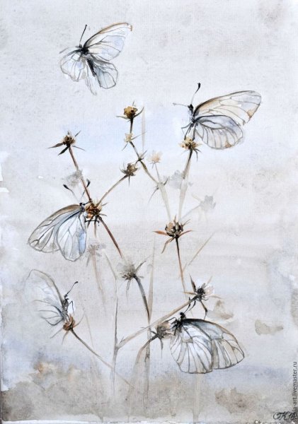 Сухоцветы акварель