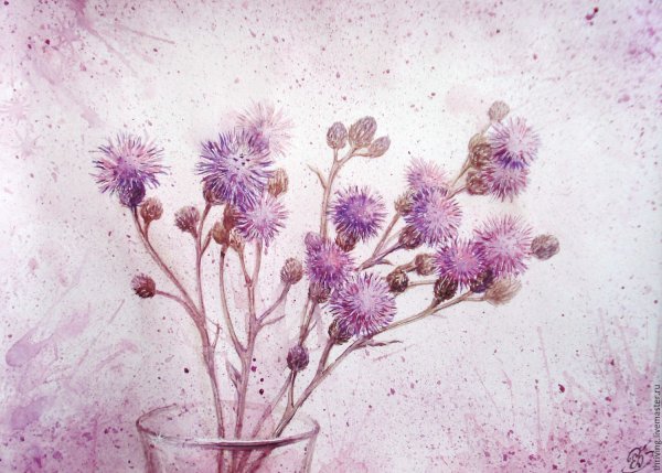 Букет чертополох акварель